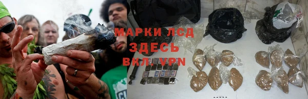 гидропоника Абинск