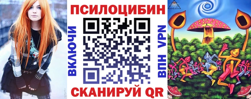 Галлюциногенные грибы Psilocybine cubensis  Фокино 