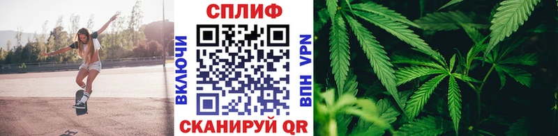 хочу   Фокино  Шишки марихуана гибрид 